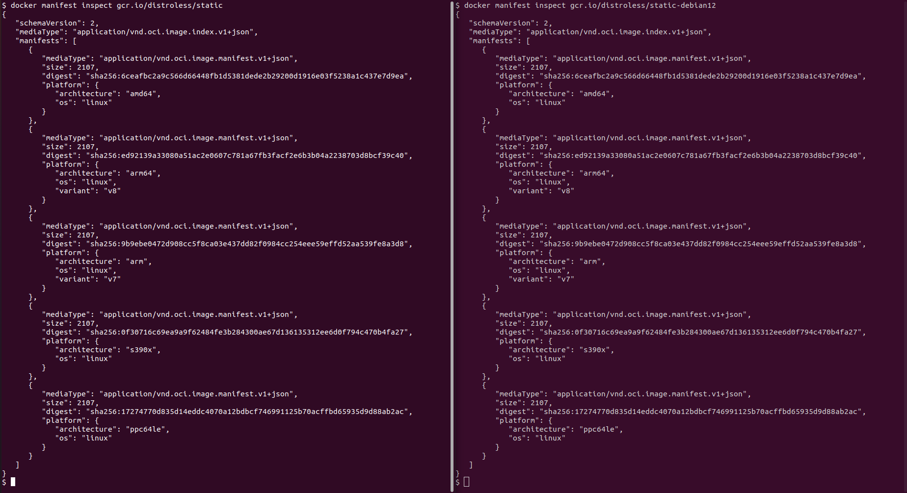 gcr.io/distroless/static